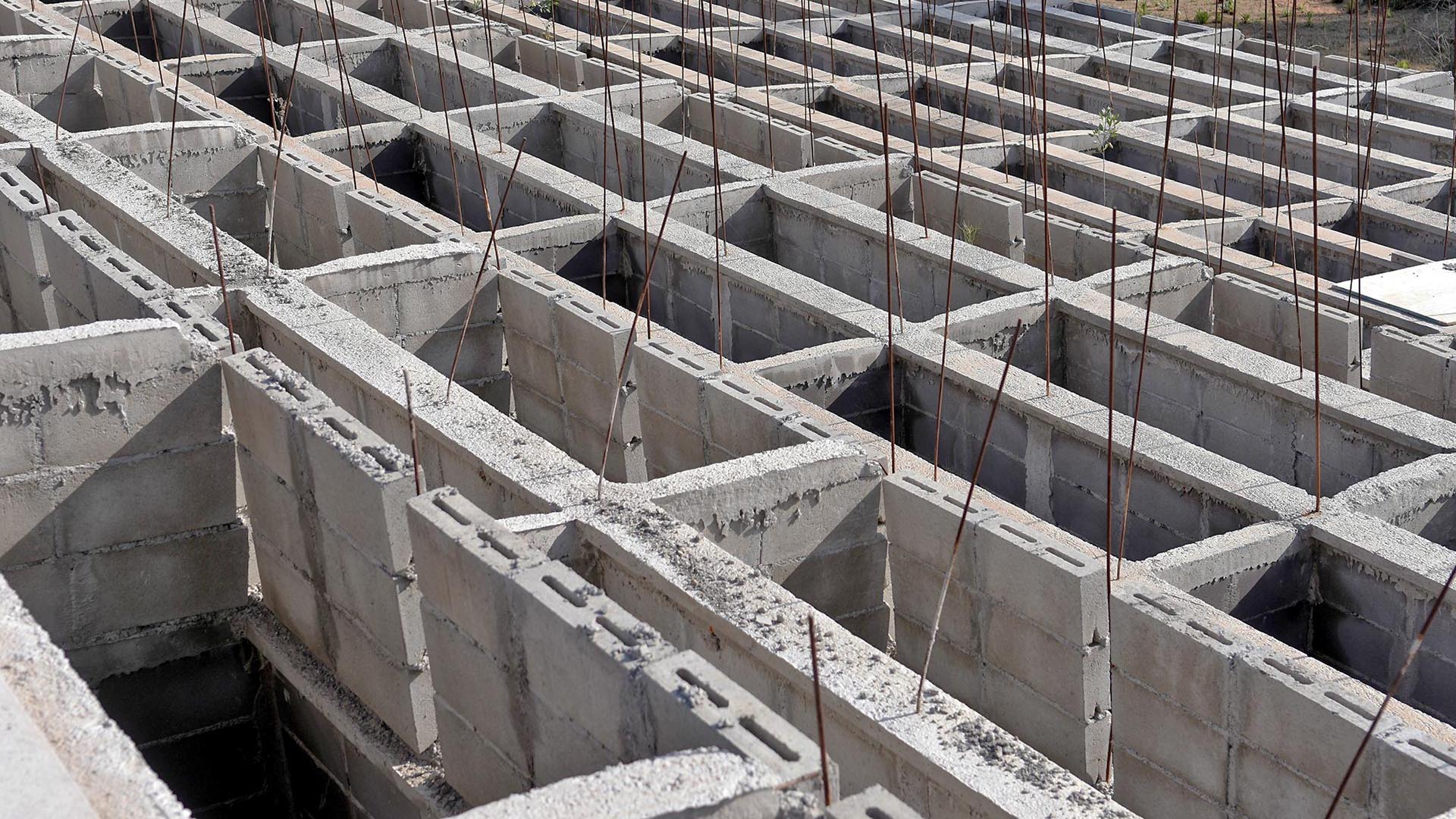 img lospensamientos-36.JPG